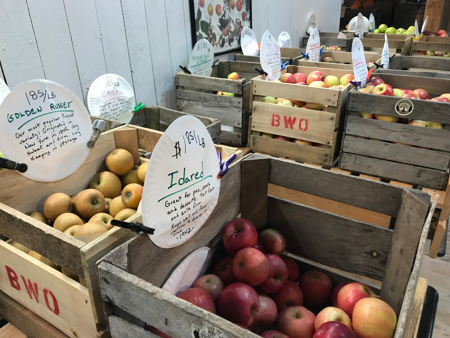 Our 9 favorite ways to Welcome Fall