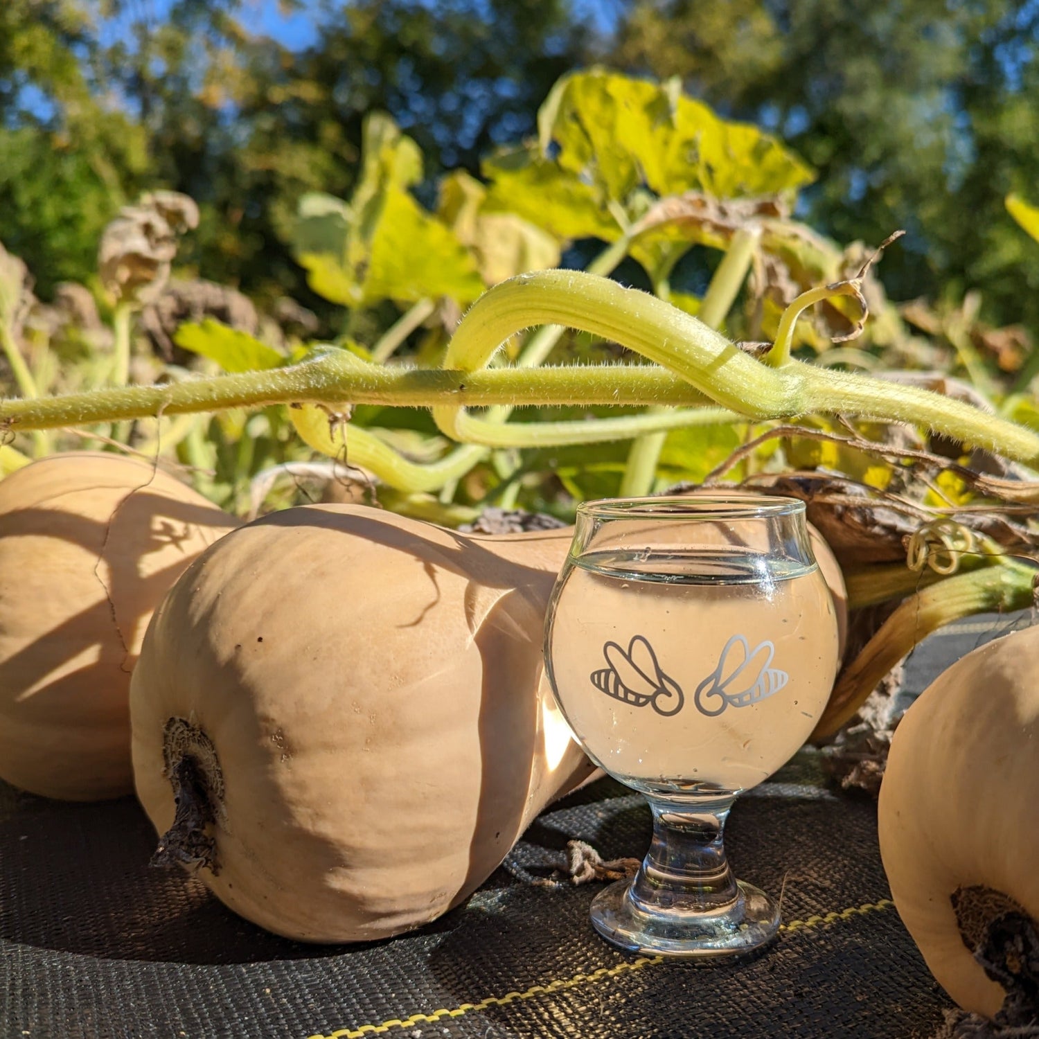 Why is using local food so important?