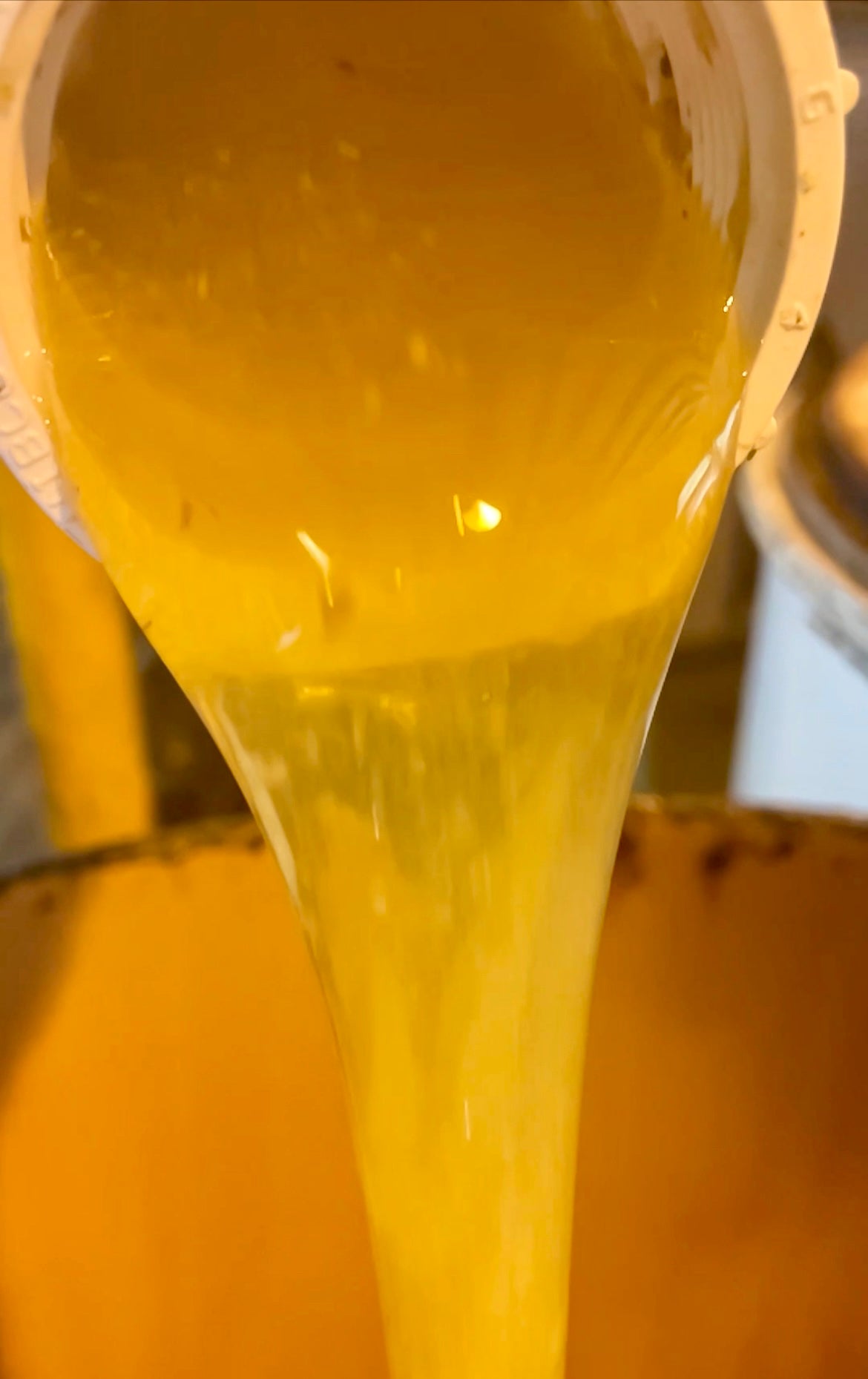 Why Raw, Local Honey? The Secret Ingredient for a Better Buzz