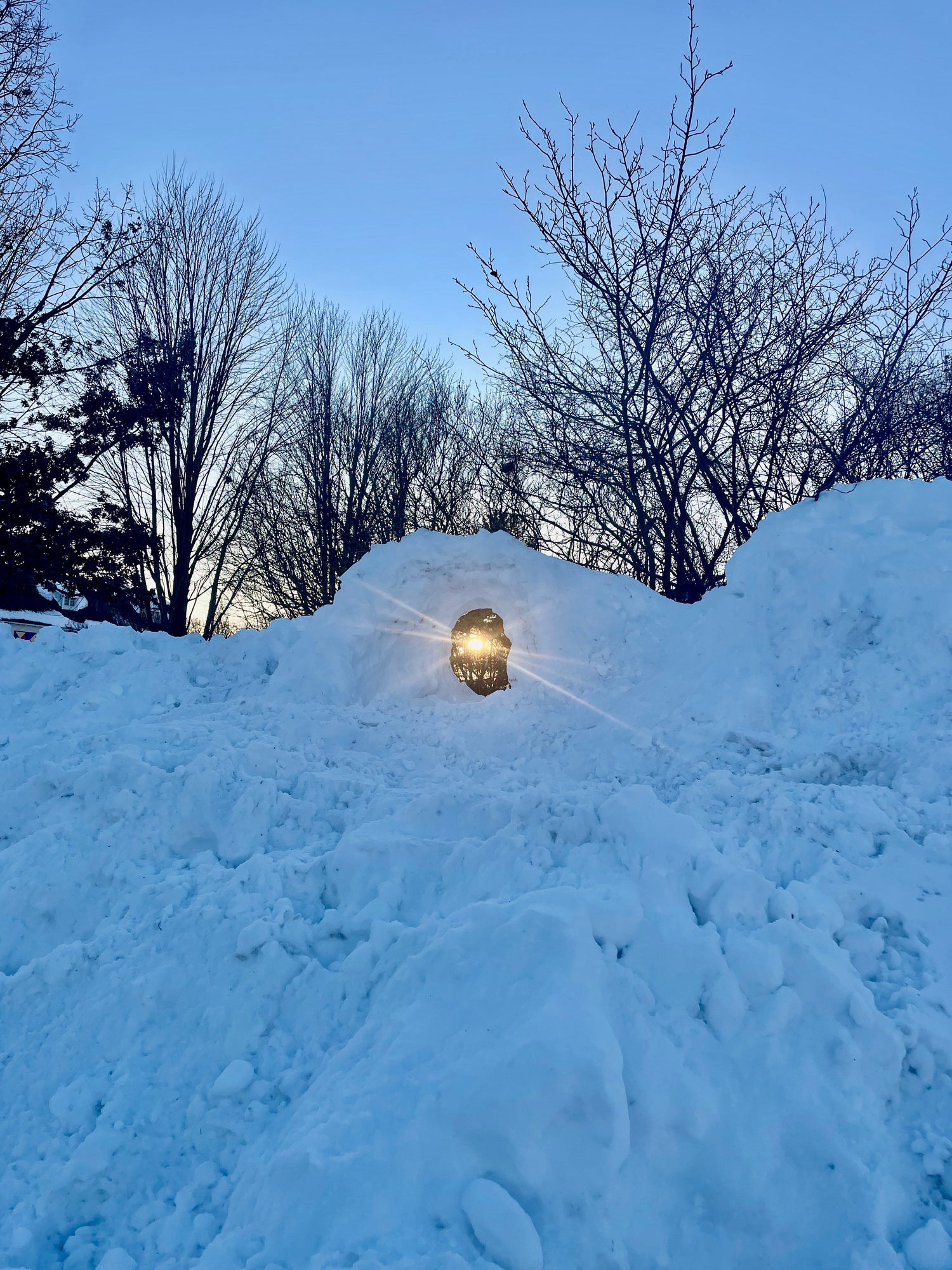 An Ode to Snow: A Beautiful Connection Between Weather and Altruism