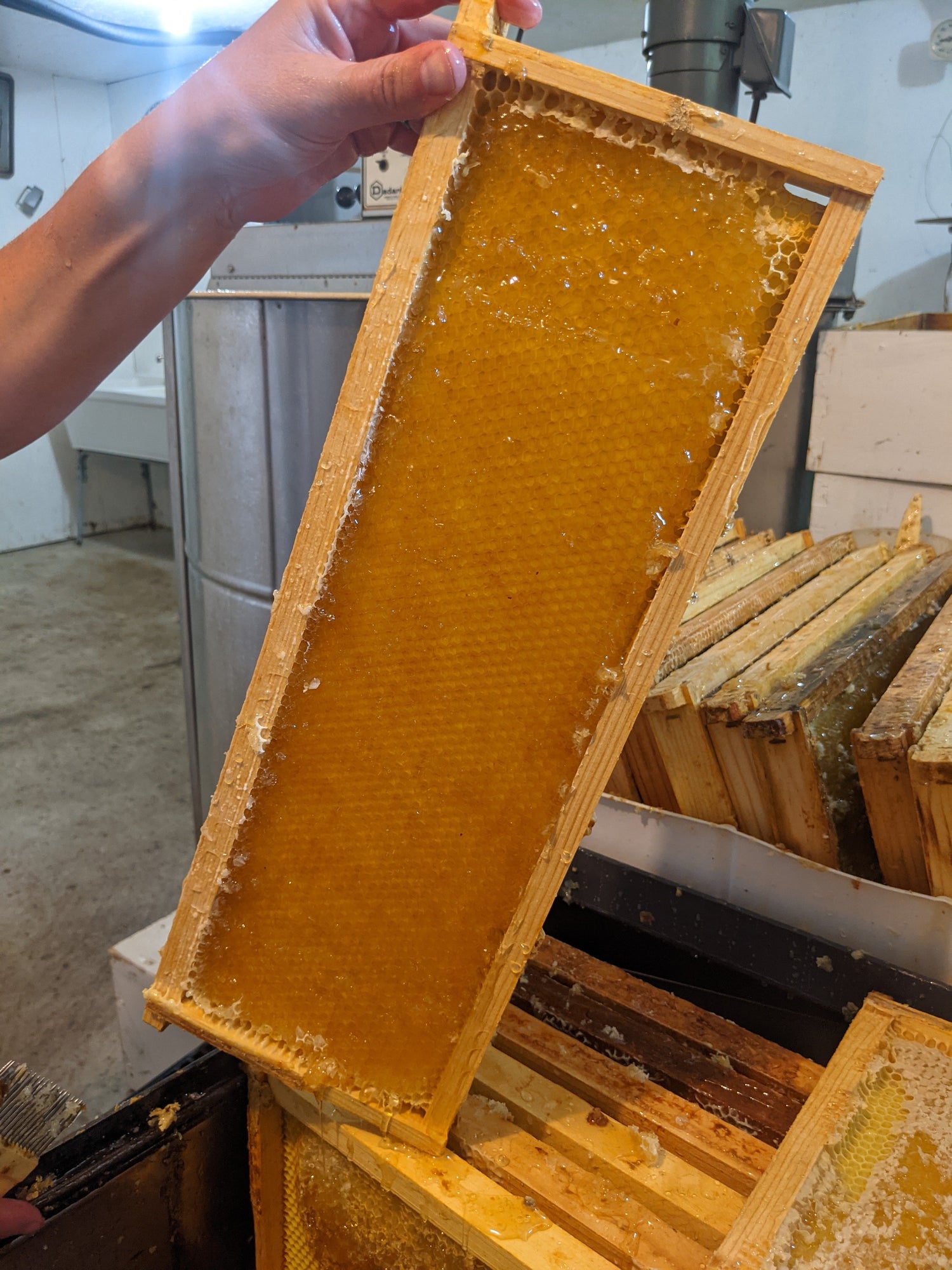 Why raw, local honey?