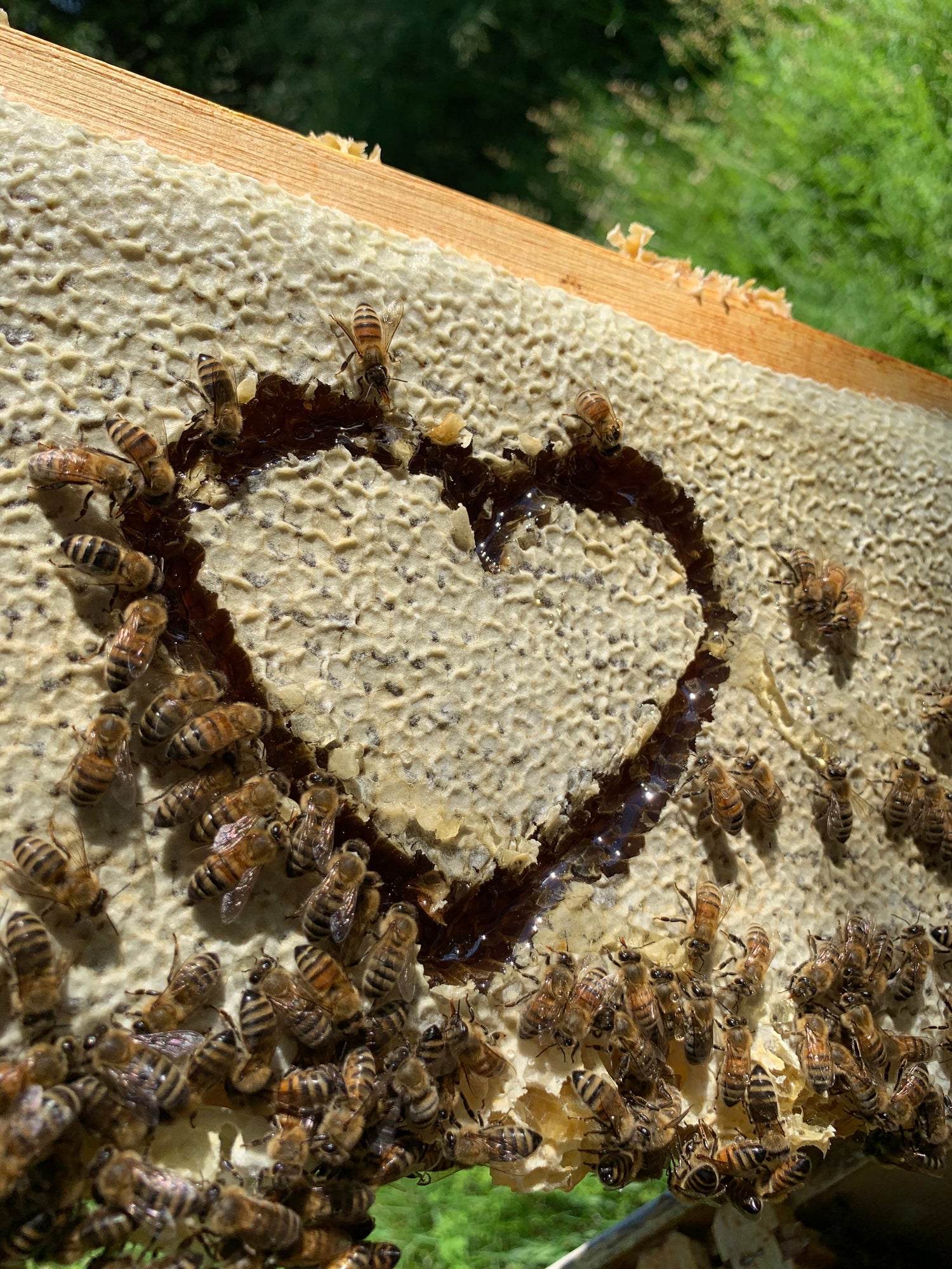 Raise a Glass to Love: Celebrate Valentine’s Day with Dry Session Mead