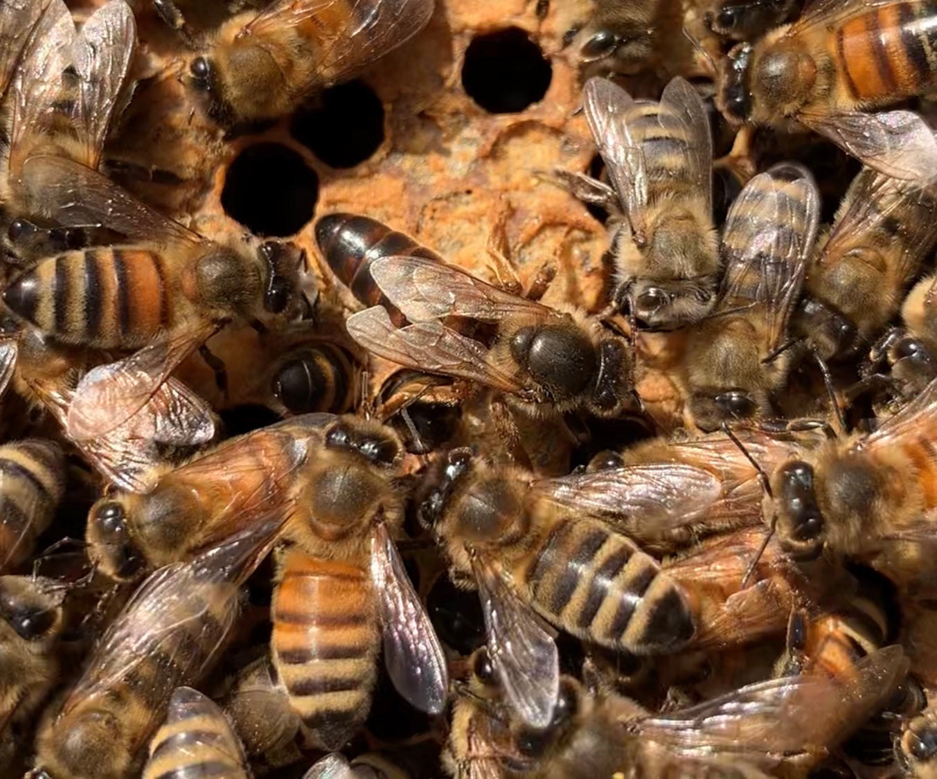 Happy Mother’s Day to all the Queens!