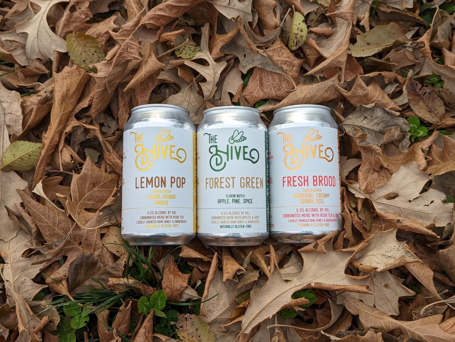 A Season to Smile: Embracing the Joy of Connection