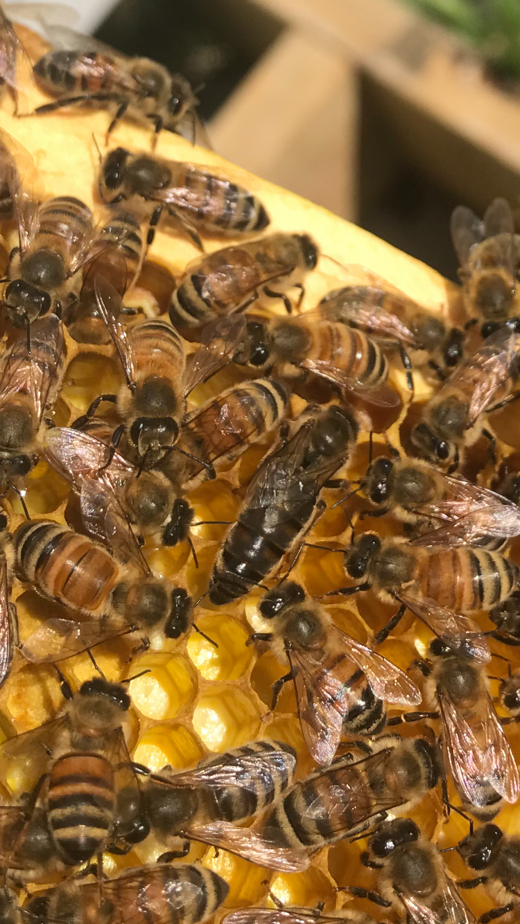 Happy Mother’s Day to All the Queens!