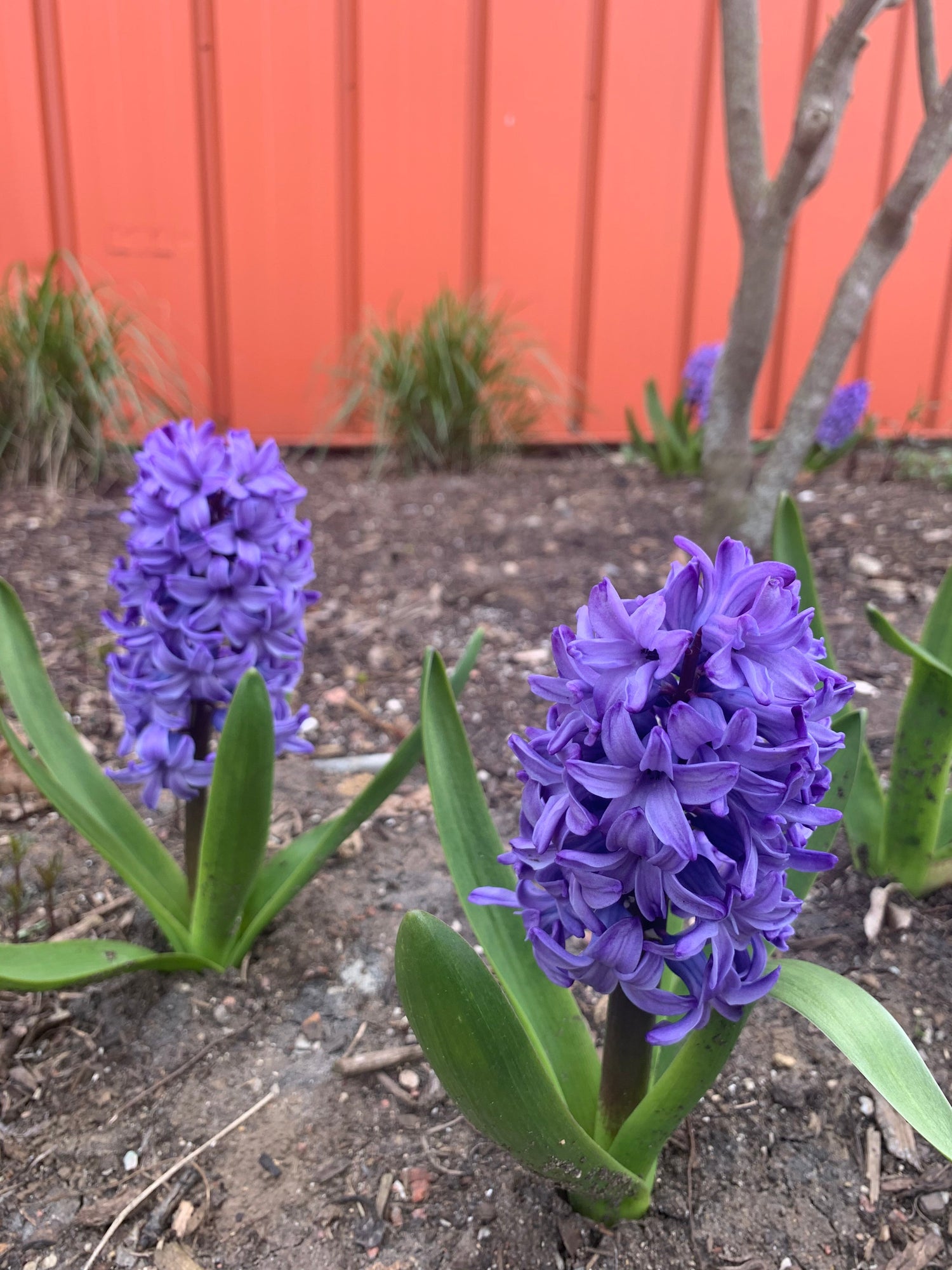 Spring Reset: Refresh, Renew, and Realign