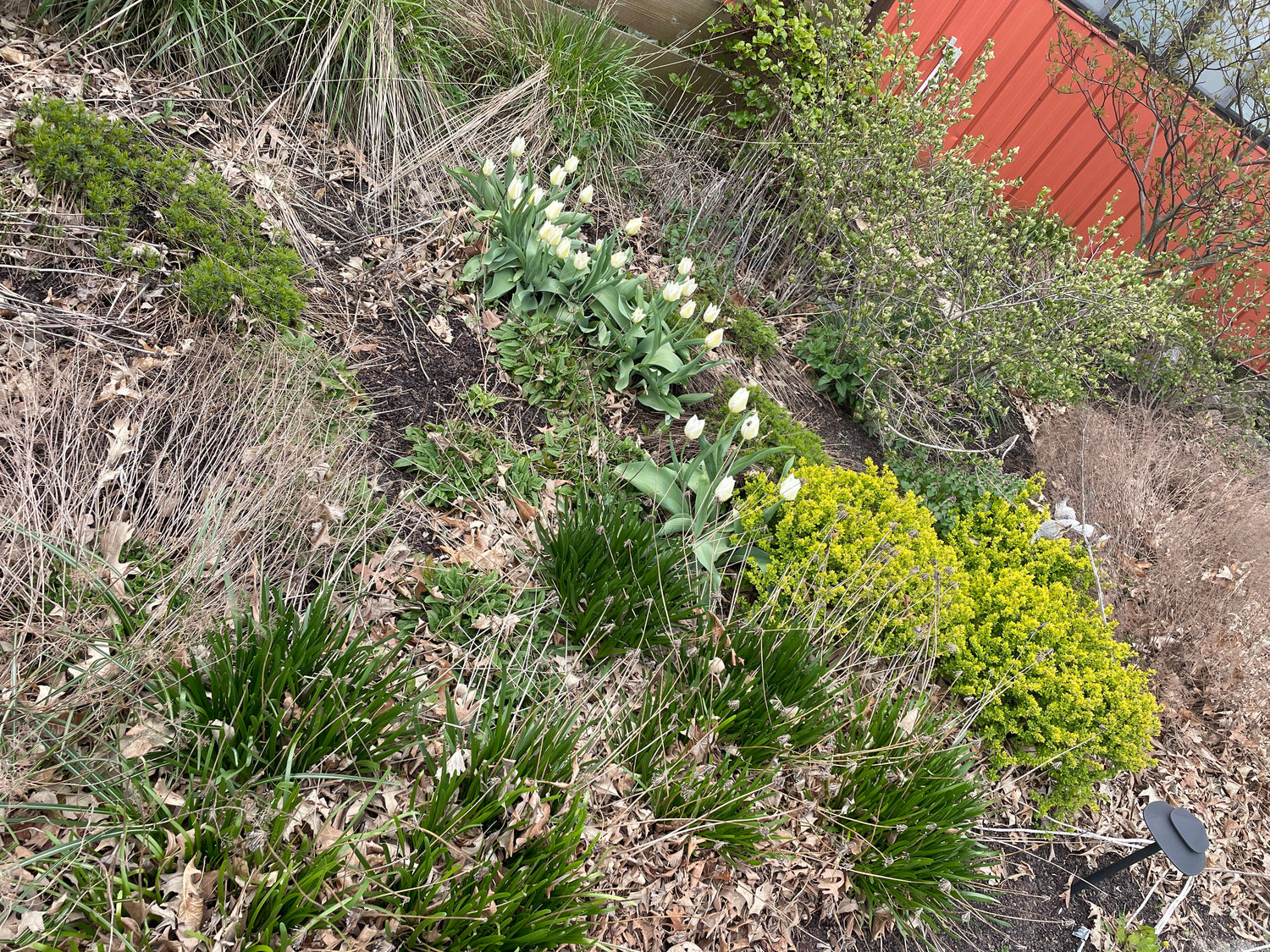 Why we leave our garden “messy”
