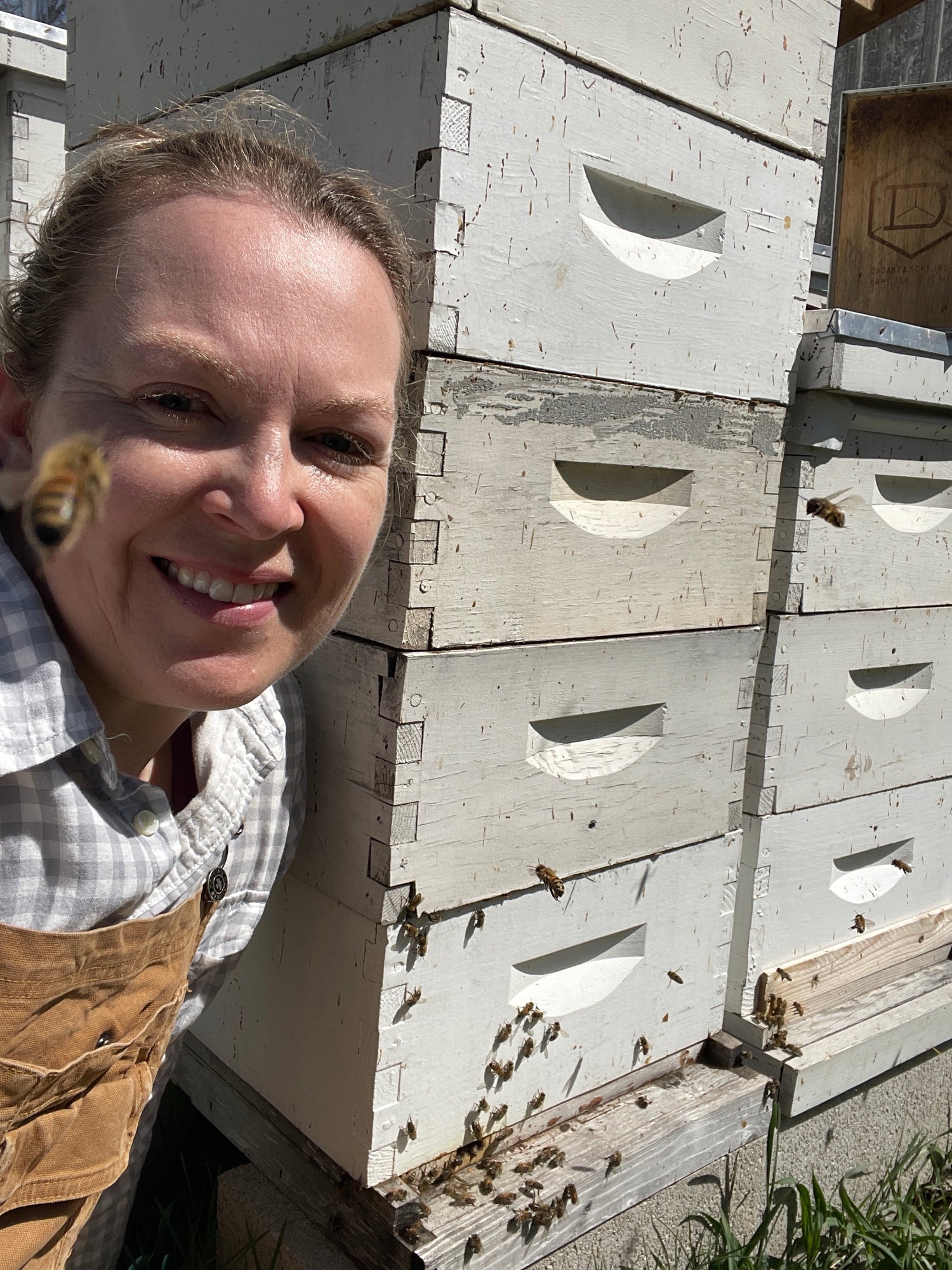 Spring Bee Update!